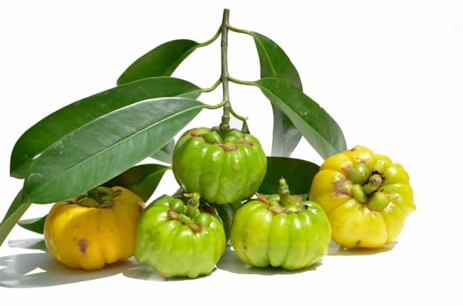 Is Garcinia a Natural or Chemical Ingredient?