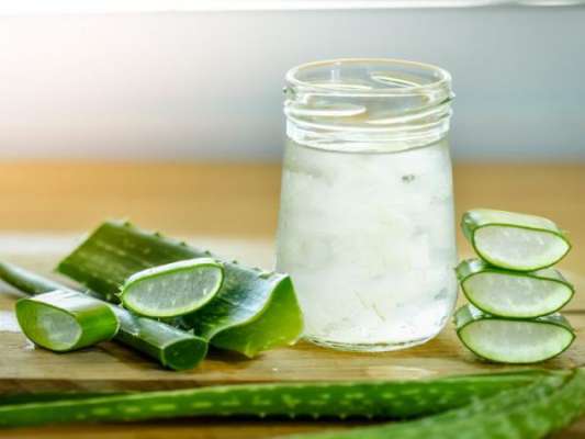 How Aloe Vera Juice Helps in Weight Loss